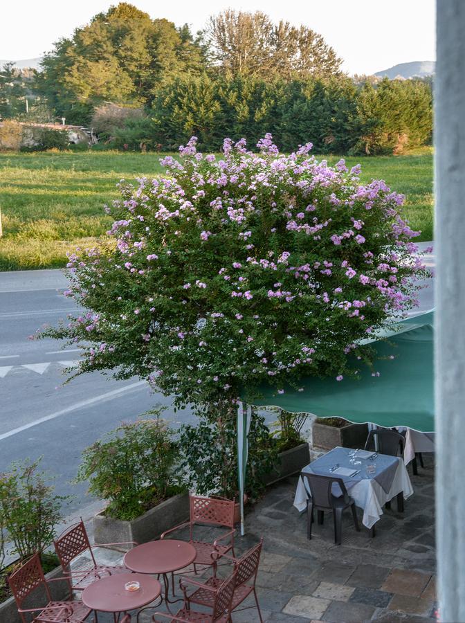 Tuscan Sun Holiday Apartments Лукка Екстер'єр фото